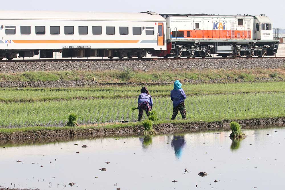  Area Persawahan di Kediri Dapat Ditanami Padi Sepanjang Tahun