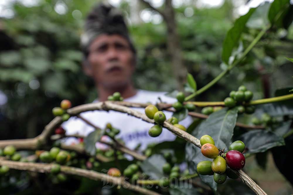  Akses Keuangan Petani di Bali Perlu Diperkuat