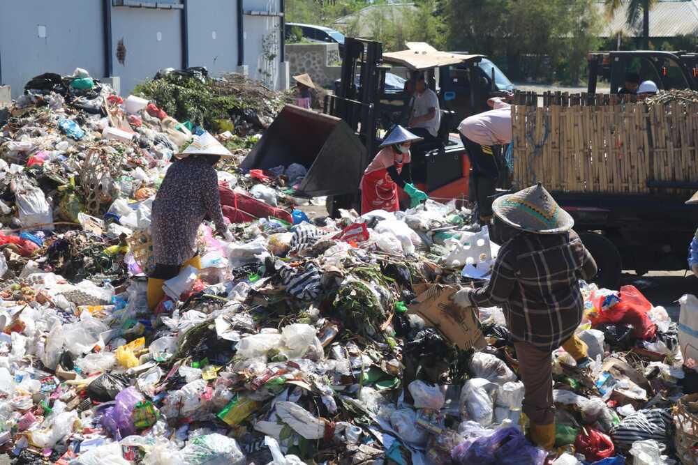  Jelajah Ekonomi Hijau : TPST Kebon Kongok Produksi 557 Ton Pupuk Kompos