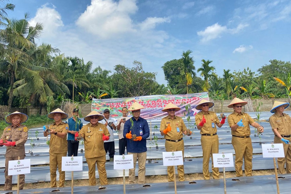  Sumsel Tanam Cabai dan Bawang Merah Serentak di 17 Kabupaten Kota