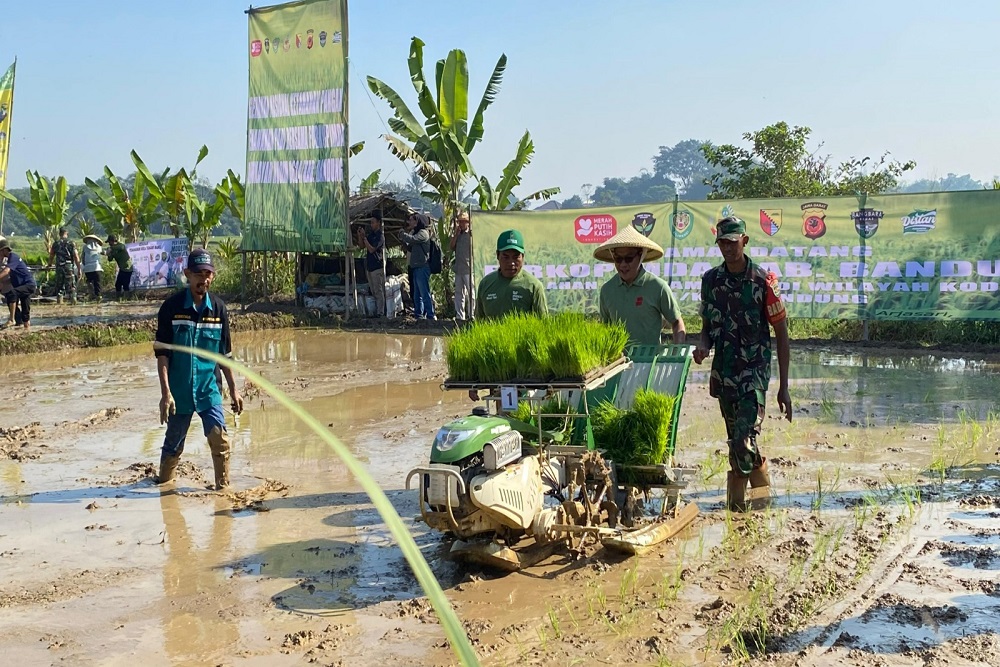  Revitalisasi Lahan oleh Kang DS untuk Penanaman Padi Produktif