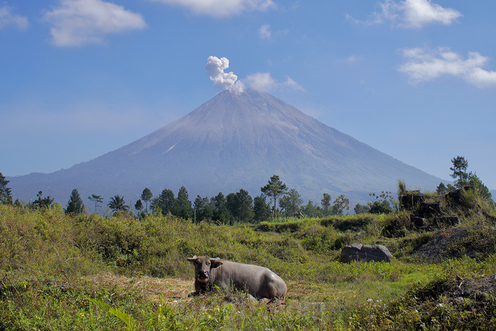  Perubahan Tingkat Aktivitas Gunung Semeru