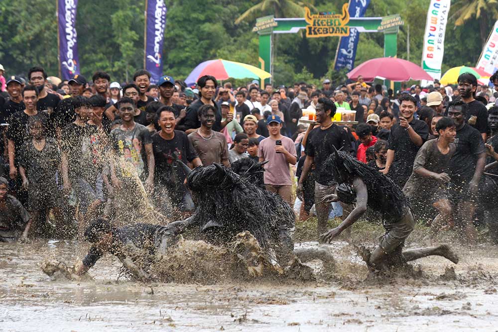  Keseruan Ritual Adat Kebo-keboan Alas Malang di Banyuwangi