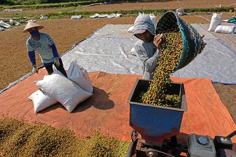  Jasa Penggilingan Kopi Keliling di Temanggung Jawa Tengah