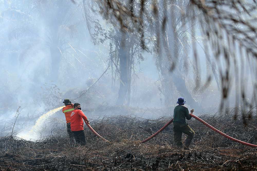  Ribuan Hektar Lahan di Aceh Terbakar