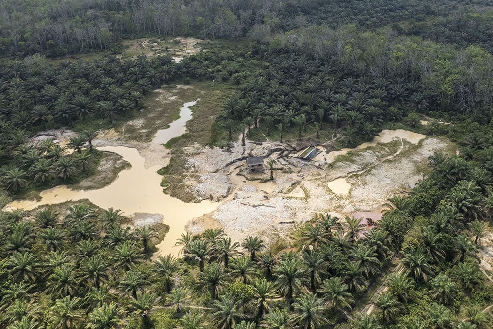  Tambang Emas di Persawahan dan Perkebunan Merangin