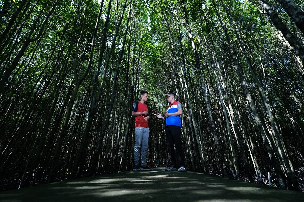  PHR Kurangi Emisi Karbon Lewat Konservasi Mangrove di Bandar Bakau Dumai