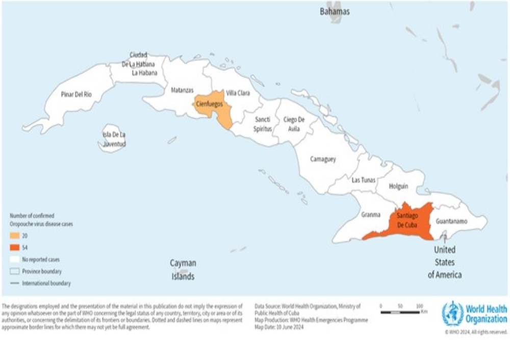  Virus Oropouche Asal Benua Amerika yang Dikhawatirkan Mengancam Dunia