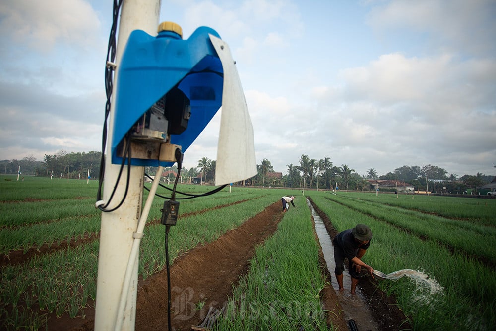  Petani Manfaatkan Energi Listrik Untuk Persawahan