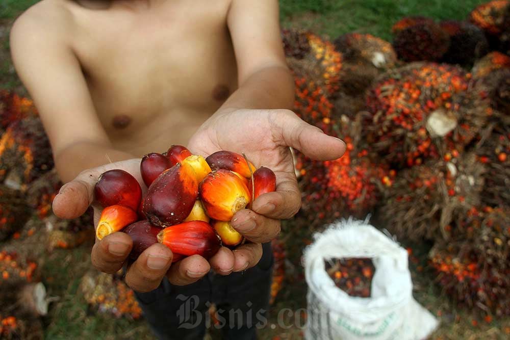  Kemendag Buka Jalan Kopi hingga Sawit RI Masuk Pasar Timteng