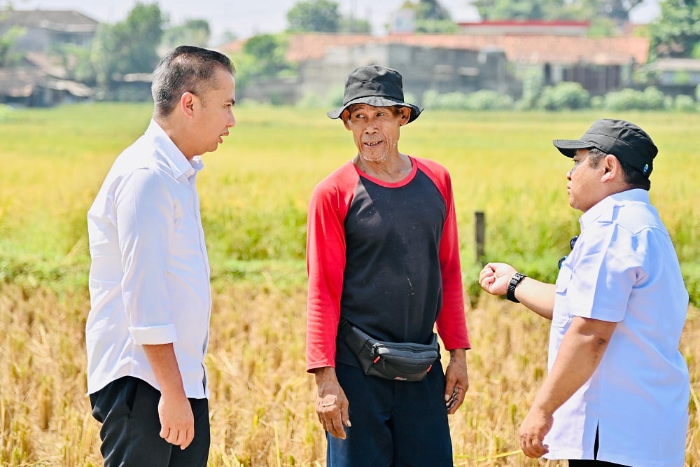  Ada Ancaman Kemarau Panjang, Bey Cek Ke Lapangan Serap Aspirasi Petani Bogor