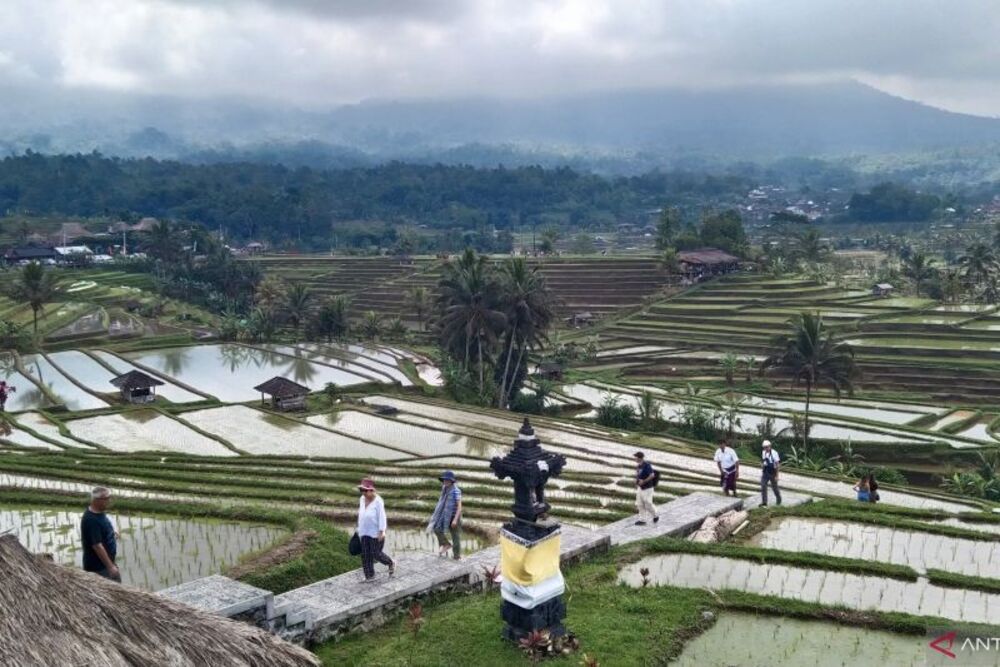  Ekonomi Bali Tumbuh 5,36%, Diversifikasi Non Pariwisata Diperlukan