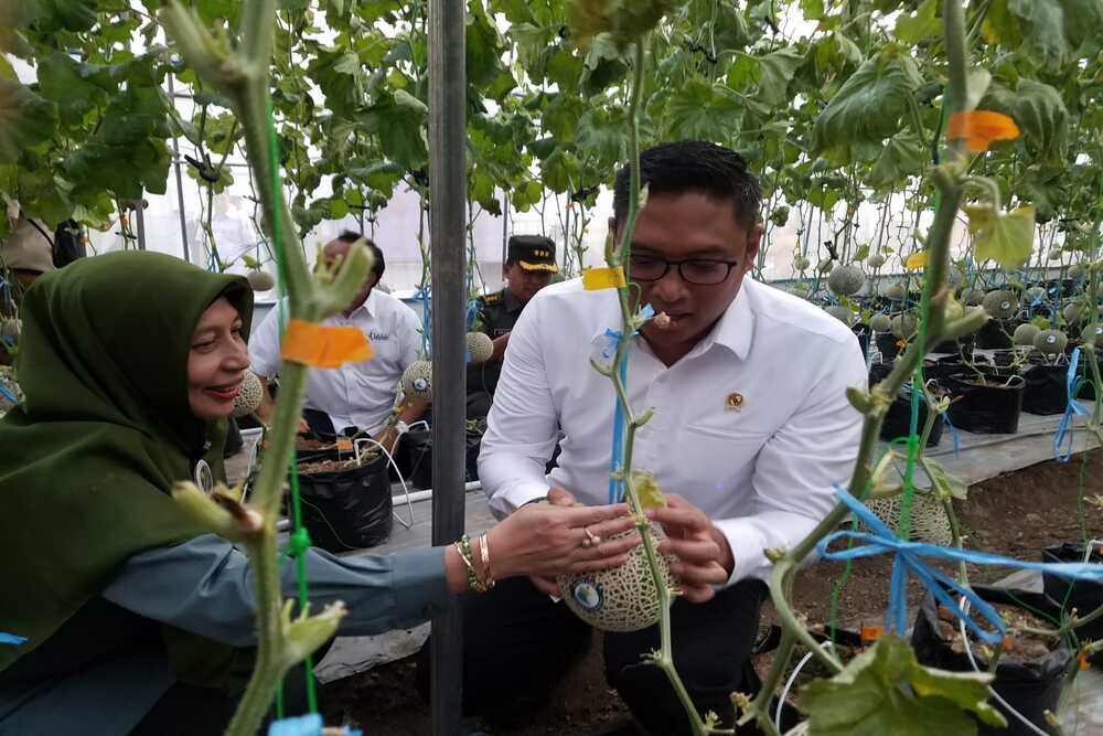  Implementasi Pertanian Lewat Smart Green House Didorong