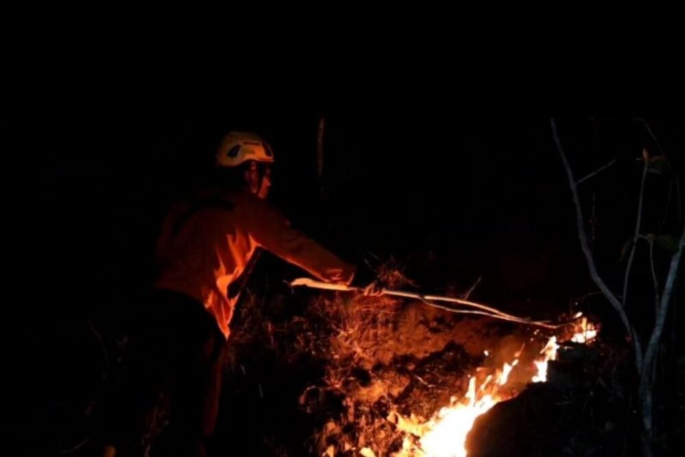  Kebakaran Melanda Hutan Jati di Balong Ponorogo