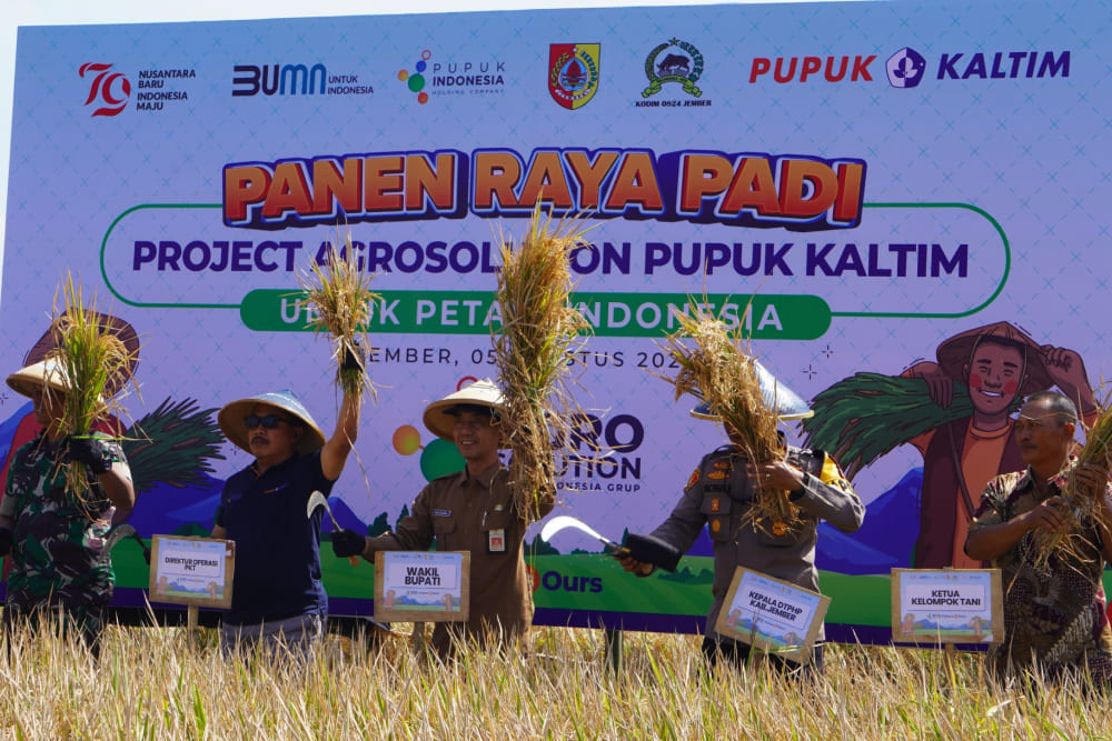  Pupuk Kaltim Sukses Tingkatkan Produktivitas Padi di Jember