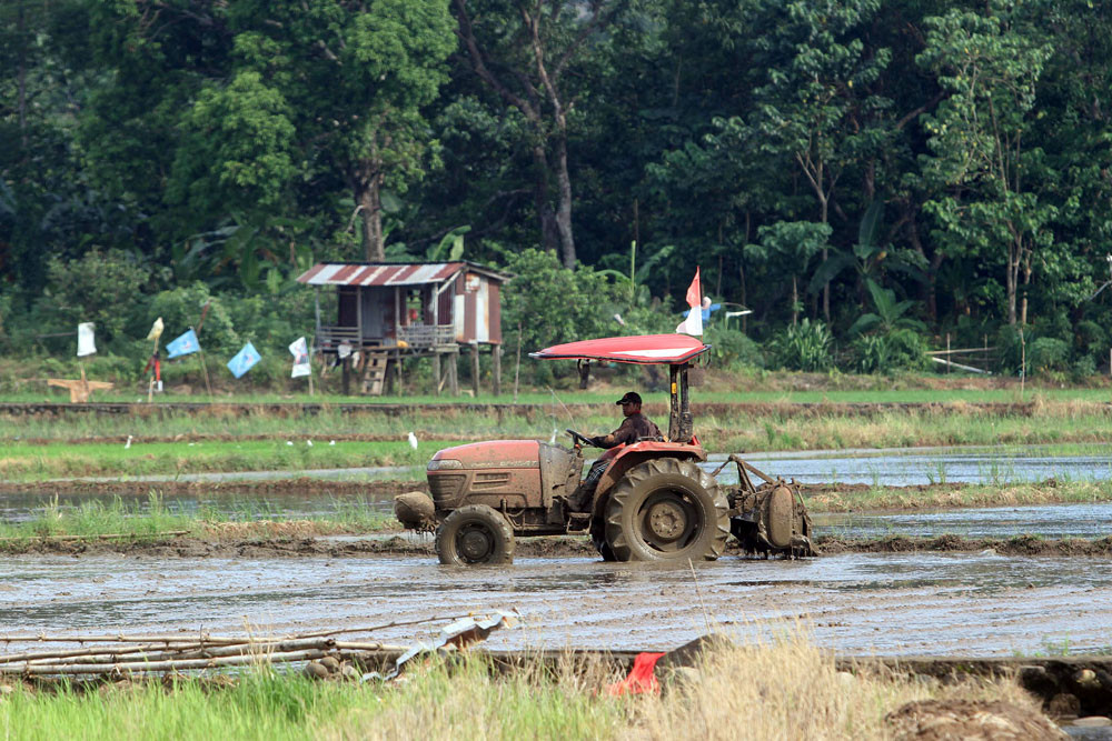 Petani membajak sawah yang akan ditanami padi di Kabupaten Maros, Sulawesi Selatan. Bisnis/Paulus Tandi Bone