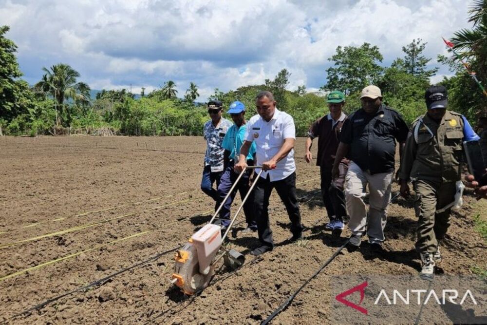 Pj Bupati Jayapura Triwarno Purnomo didampingi Kepala Kampung Puay Yunus Wahey dan beberapa kepala OPD Kabupaten Jayapura saat meninjau lahan 6 hektare yang akan ditanami jagung, Kamis (8/8/2024)./Antara-Yudhi Efendi.
