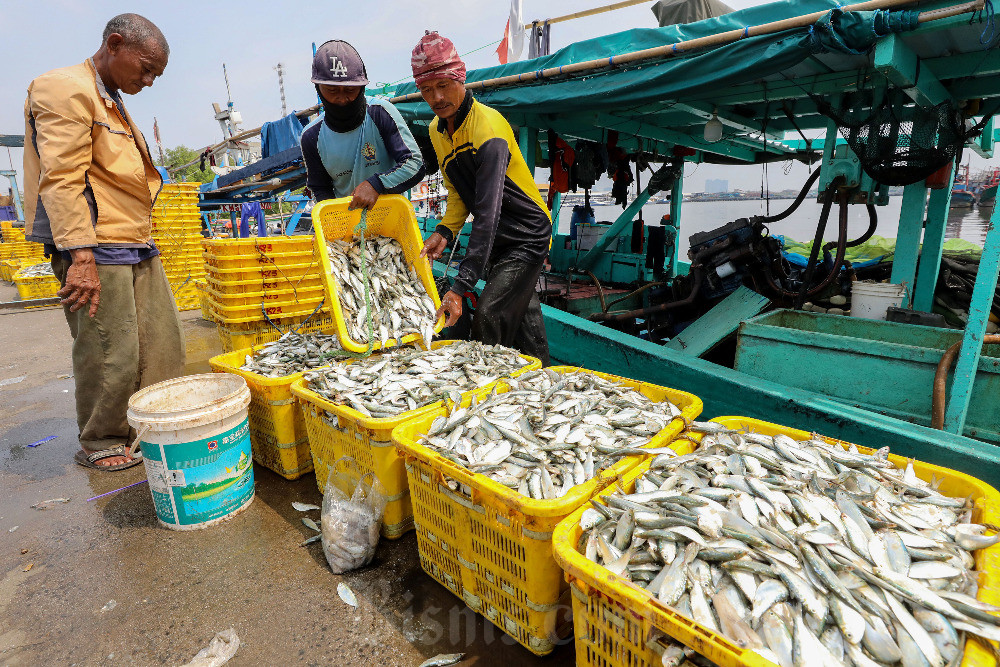 Pekerja memindahkan ikan hasil tangkapan nelayan di Dermaga Pelabuhan Muara Angke, Jakarta, Selasa (9/7/2024). Bisnis/Eusebio Chrysnamurti