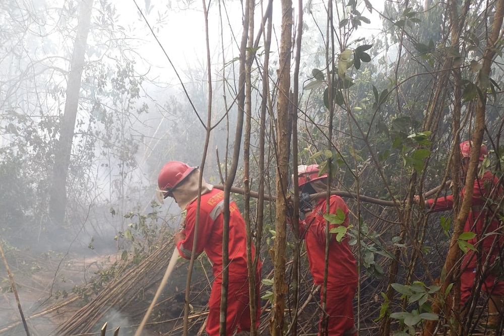  Pemadaman Lahan Gambut Seluas 10 Hektare di OKI Masih Berlanjut