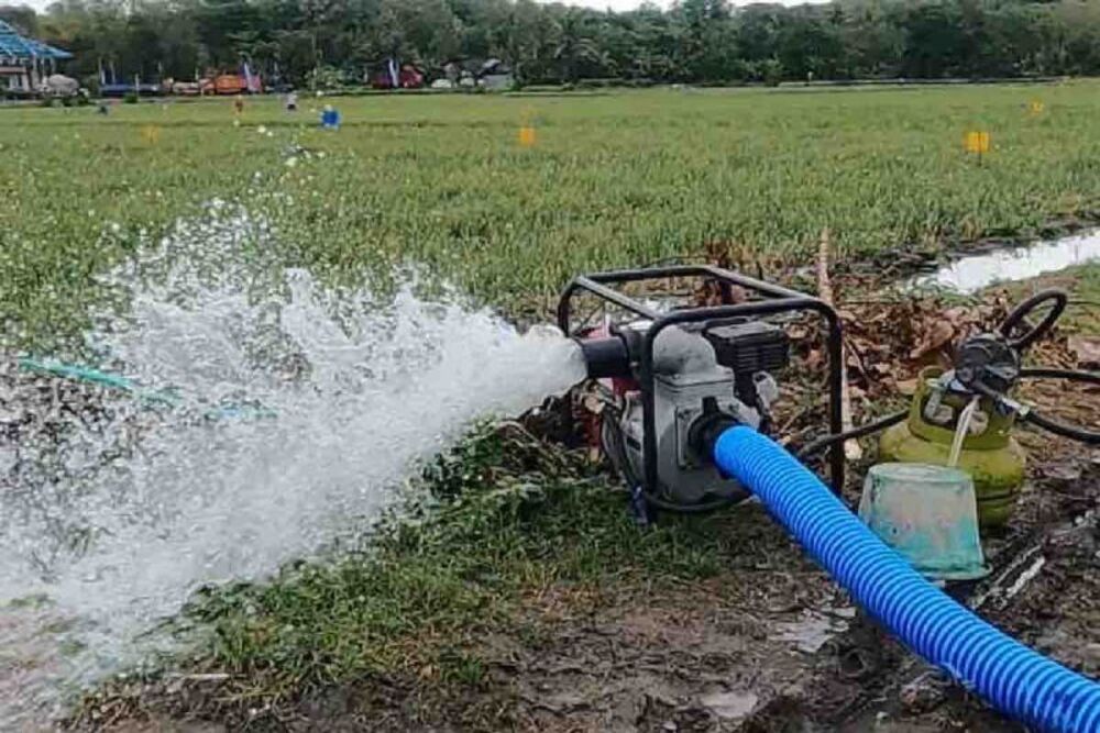  Problem Tata Ruang Pengaruhi Produktivitas Pangan di Jateng