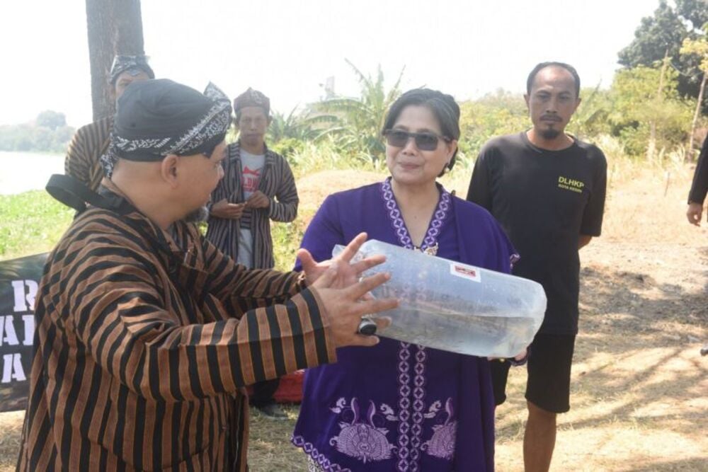  35.000 Ekor Ikan Ditebar ke Sungai Brantas