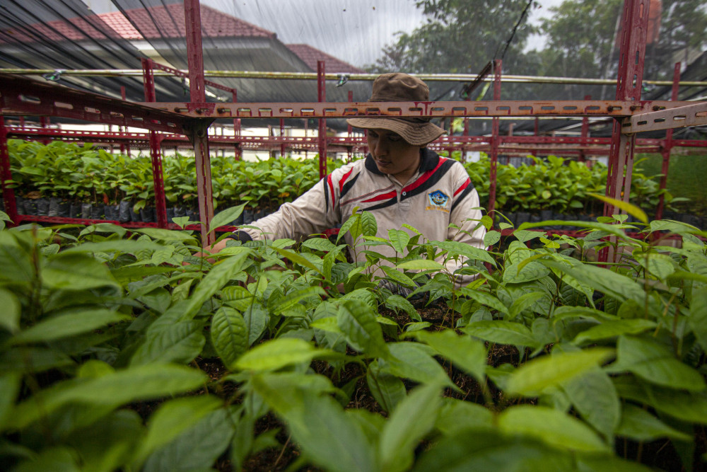  Komitmen Sumbar Wujudkan Target Nasional 12,7 Juta Ha Lahan Perhutanan Sosial