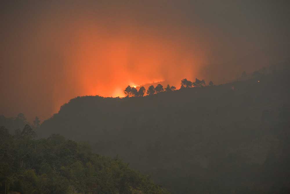  Hutan Seluas 16 Hektare di Gunung Guntur Hangus Terbakar