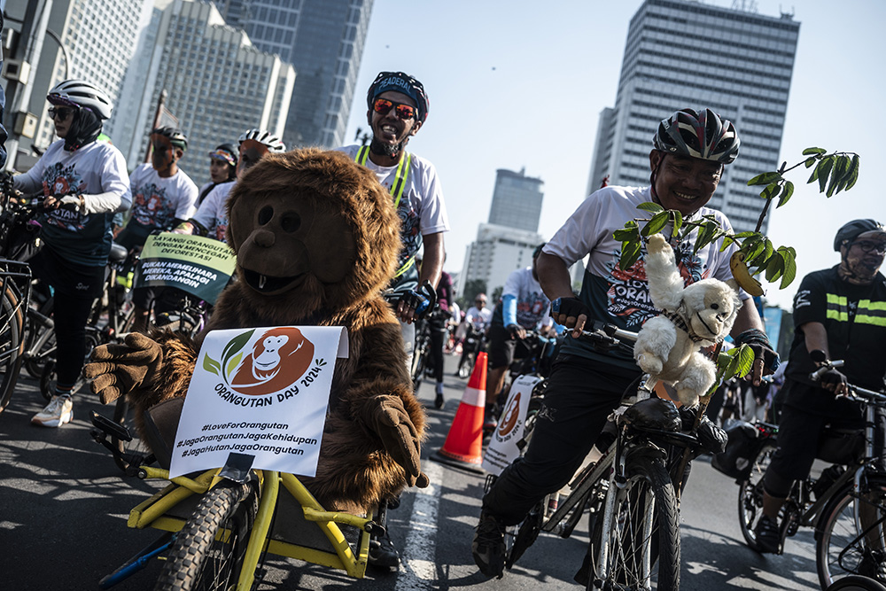  Peringatan Hari Orang Utan Sedunia di Jakarta