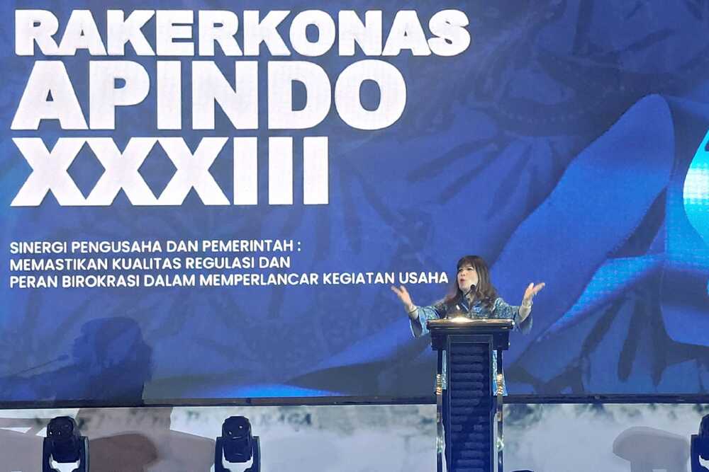  Rapat Kerja Apindo Dorong Pembentukan Iklim Usaha Kondusif