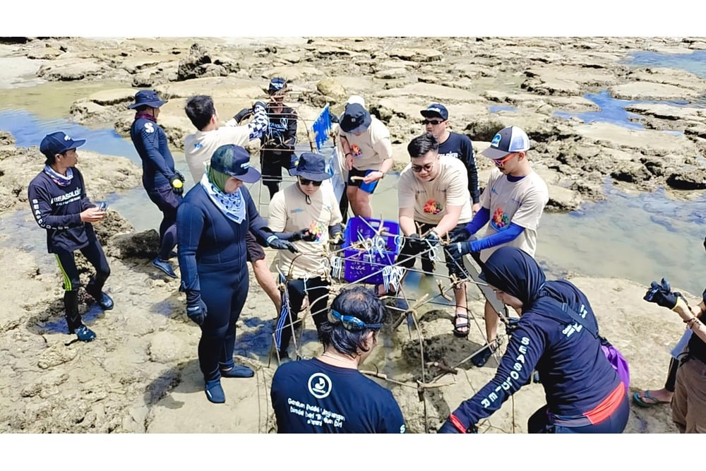  PNM Peduli Tanam Ribuan Pohon Mangrove dan Terumbu Karang di Kalimantan