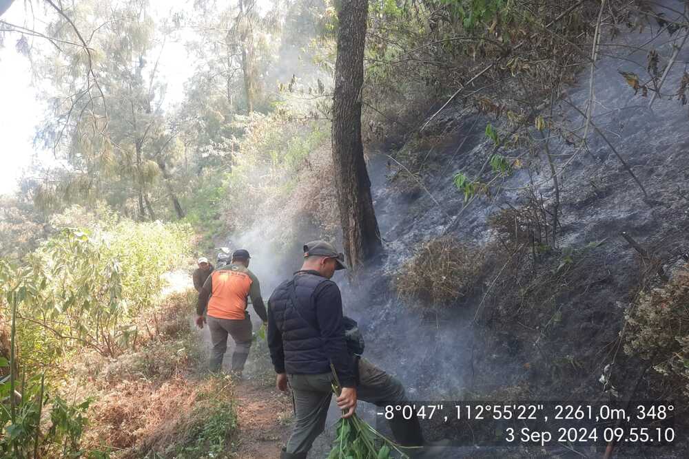  Titik Api pada Kebakaran di Bromo Semeru Mulai Padam