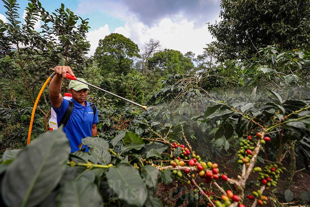  Distribusi Pupuk Subsidi di Garut Tidak Optimal, Banyak Dijual di Atas HET