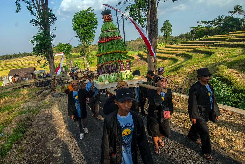  Tradisi Wiwit Panen Padi di Boyolali