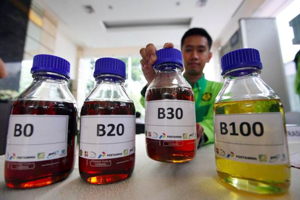 Petugas memperlihatkan contoh bahan bakar biodiesel saat peluncuran Road Test Penggunaan Bahan Bakar B30 (campuran biodiesel 30% pada bahan bakar solar) pada kendaraan bermesin diesel, di Jakarta, Kamis (13/6/2019)./Bisnis-Abdullah Azzam