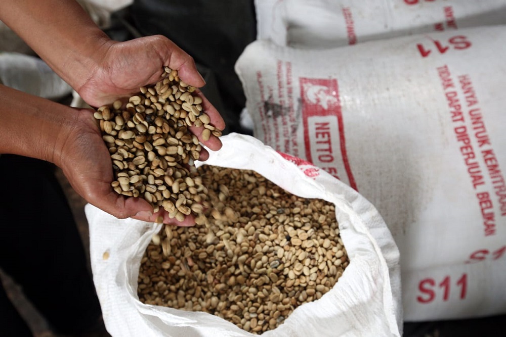 Ekosistem bisnis kopi di Desa Lebakmuncang, Kecamatan Ciwidey, Kabupaten Bandung terus bergeliat./Bisnis