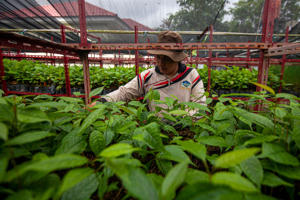  Kisi-Kisi Usaha Sosial yang Dilirik Investor: Bukan Sekadar Kejar-kejaran Profit