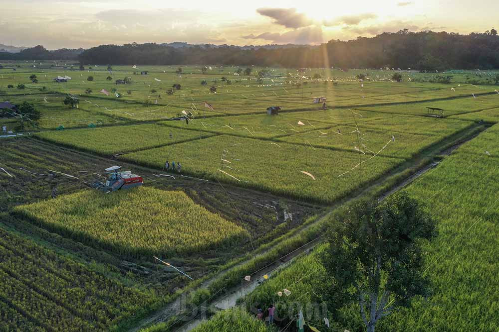  Perluasan Lahan Pertanian Tanaman Pangan