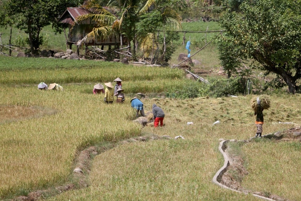  Stok Pangan Nasional Tetap Aman