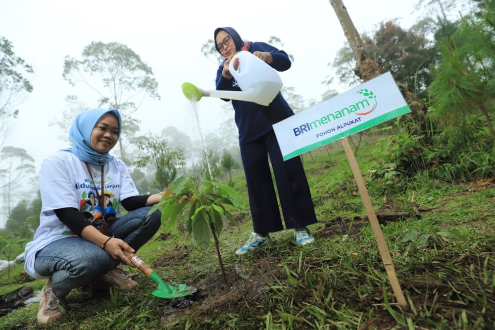  Berbagai Program BRI untuk Mendukung Net Zero Emission di 2050