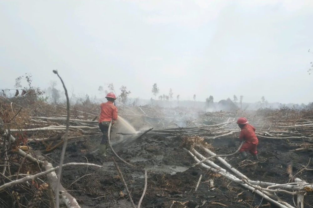  Pemadaman Karhutla Dua Kabupaten di Sumsel Gunakan Water Bombing