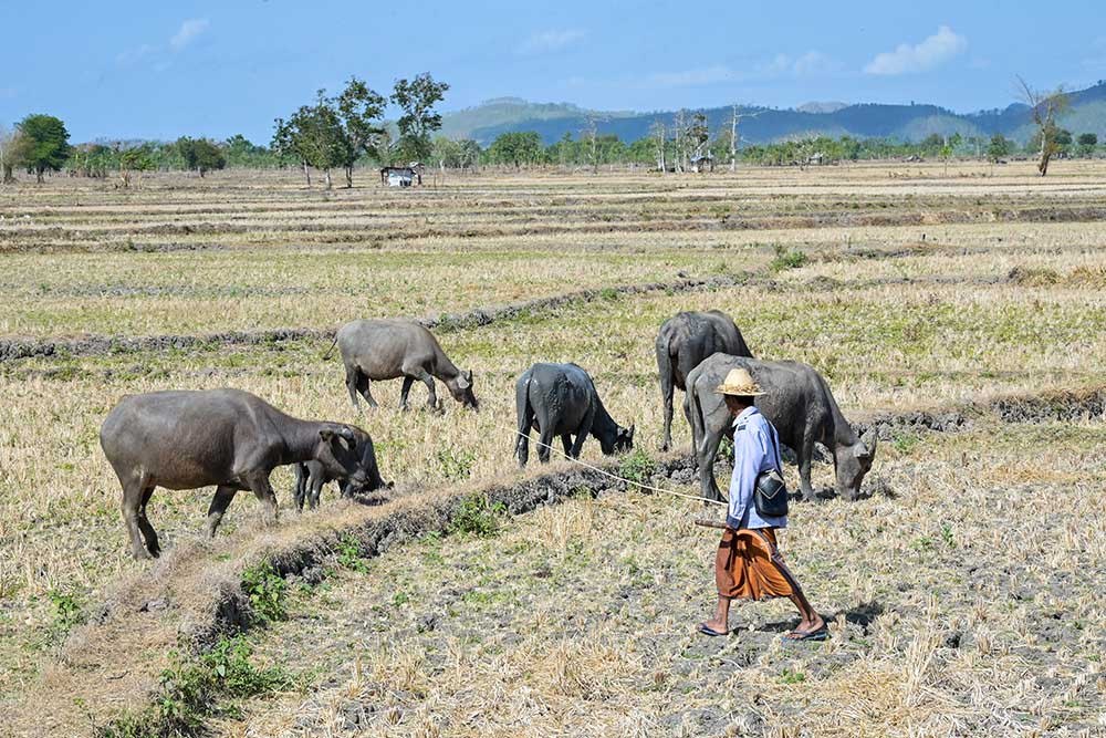  Potensi Kekeringan di Wilayah NTB Diprediksi Meluas