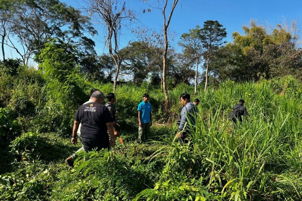  Pegawai Safari dan Marine Park Gianyar Tewas Diseruduk Gajah