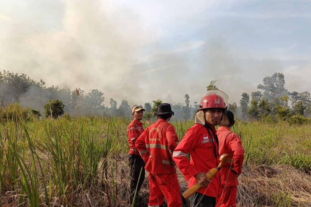  Pemadaman Kebakaran Hutan Gambut di Muara Enim Sudah Memasuki 22 Hari