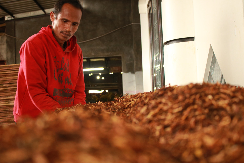  Program Kemitraan Untungkan Petani Tembakau di Temanggung dan Wonosobo