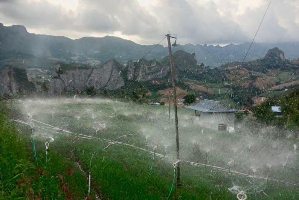  Kisah Petani di Sulsel Gunakan Listrik Bersih PLN, Bisa Hemat