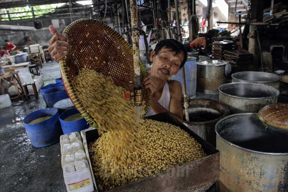  Bulog Minta Akindo Putar Otak Tingkatkan Produksi Kedelai Lokal