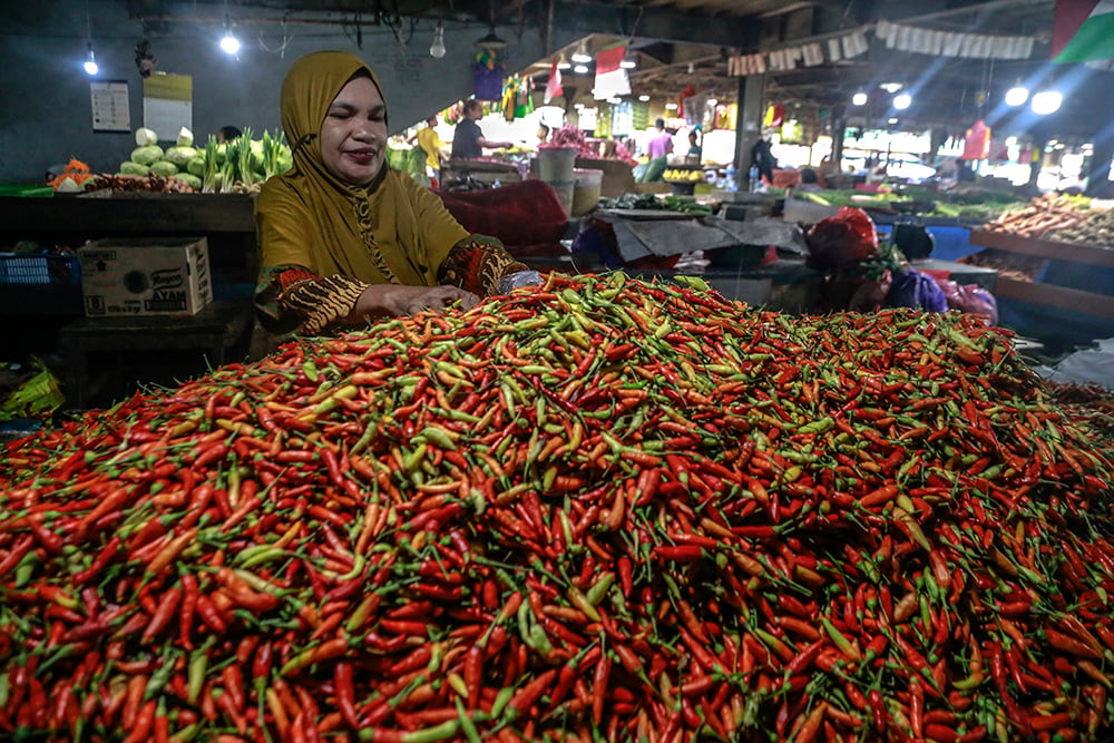  Harga Cabai Rawit Di Ternate Tembus Rp100 Ribu per Kilogram