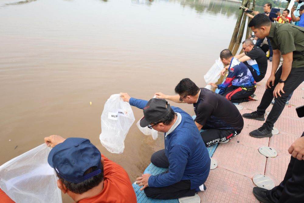  Jaga Kelestarian Sungai, Pemkab Siak Tebar 20.000 Benih Ikan Patin
