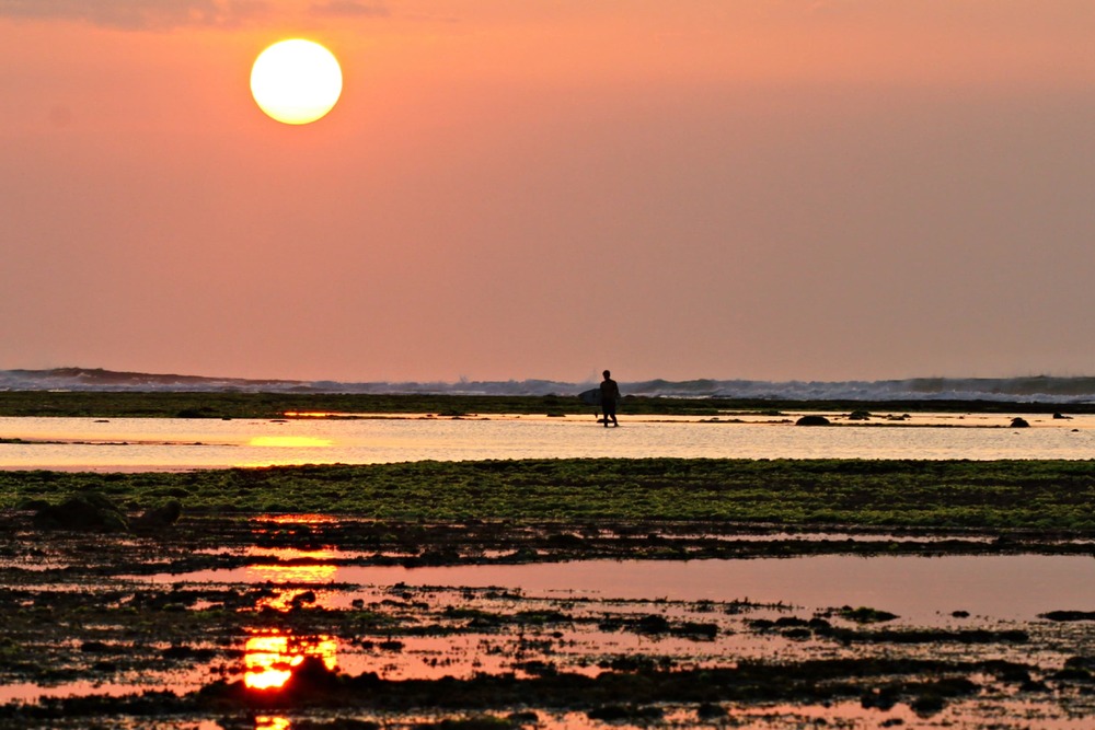  Wisata Alas Purwo, Eksotika Ujung Timur Pulau Jawa