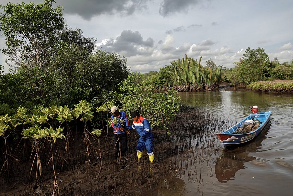  Konservasi Mangrove Segara Anakan